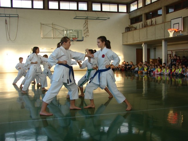 Predstavitev karateja v OŠ Dekani - foto