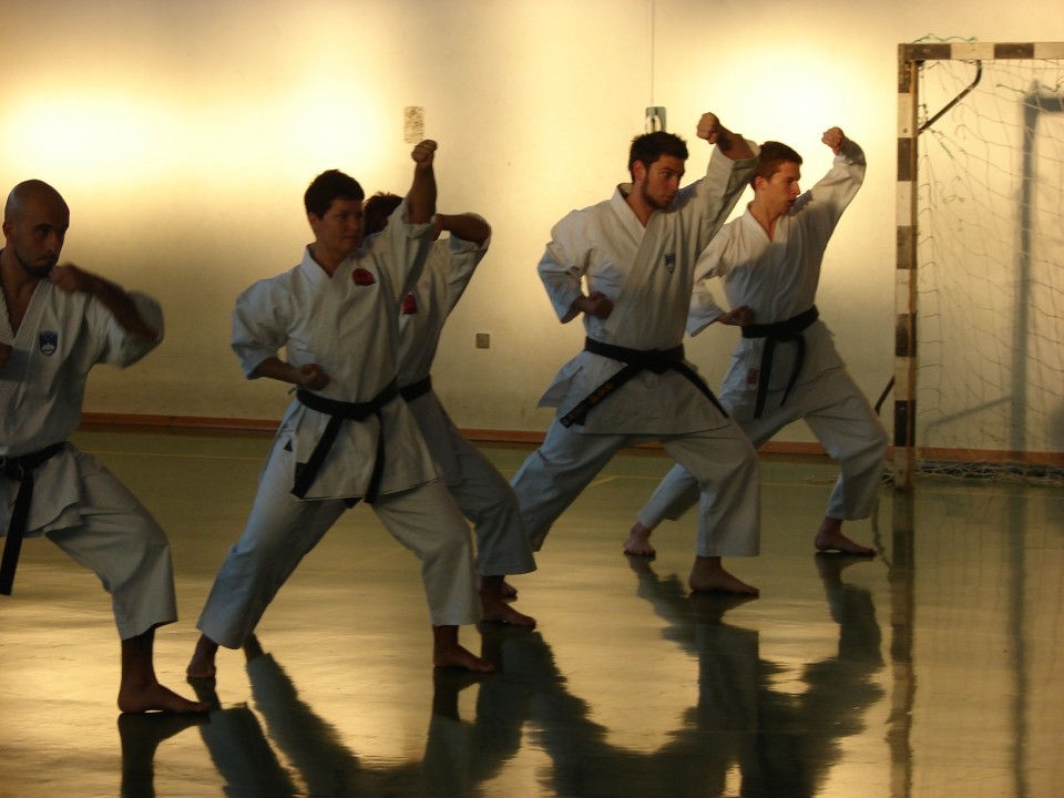 Predstavitev karateja v OŠ Dekani - foto povečava