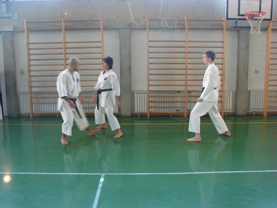Predstavitev karateja v OŠ Dekani - foto povečava