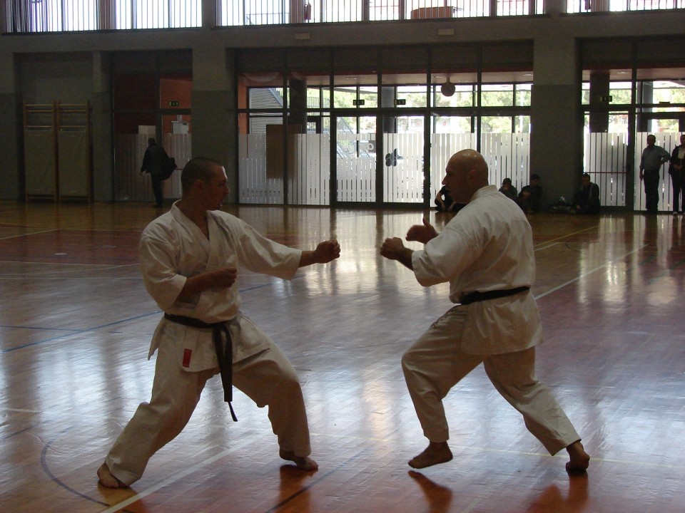 Seminar WSI M. Takeshi Naito Koper 2008 - foto povečava