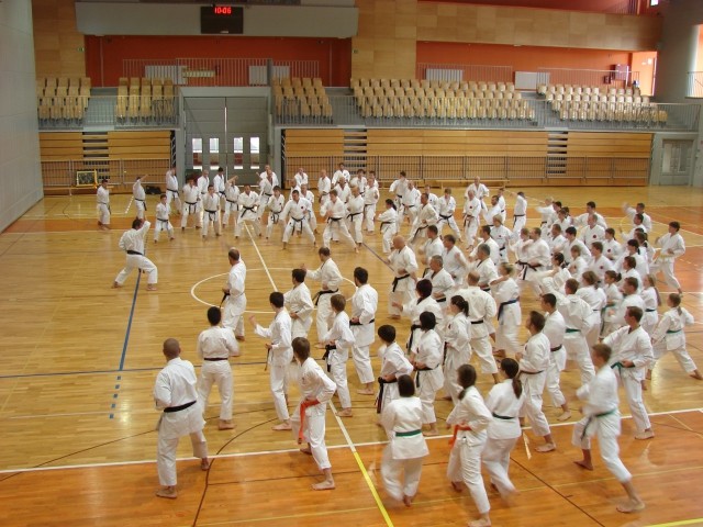 Seminar WSI M. Takeshi Naito Koper 2008 - foto