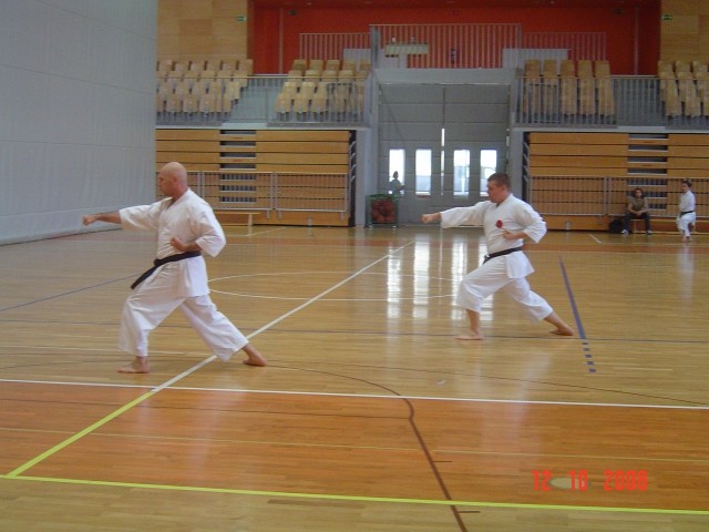 Seminar WSI M. Takeshi Naito Koper 2008 - foto