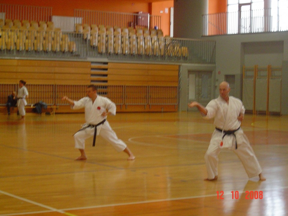 Seminar WSI M. Takeshi Naito Koper 2008 - foto povečava