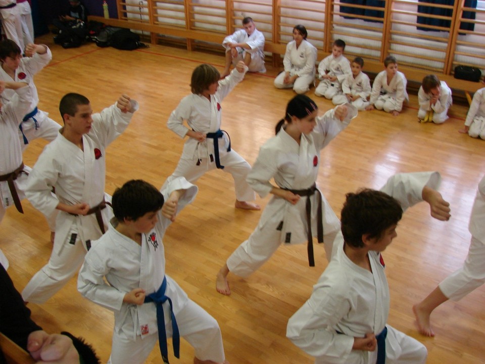 Drugi pokalni turnir JKA Slovenije Celje 2008 - foto povečava