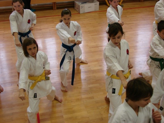 Drugi pokalni turnir JKA Slovenije Celje 2008 - foto