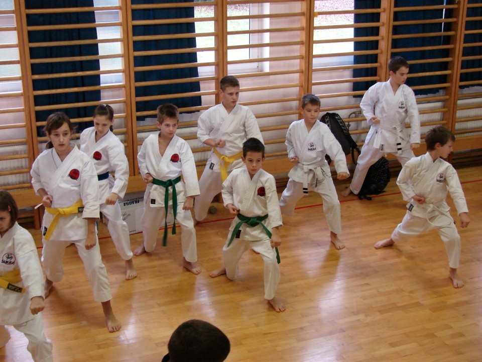 Drugi pokalni turnir JKA Slovenije Celje 2008 - foto povečava