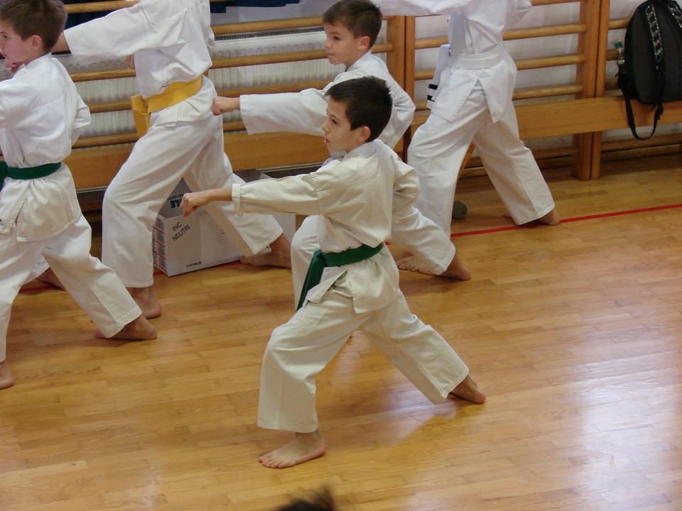 Drugi pokalni turnir JKA Slovenije Celje 2008 - foto povečava