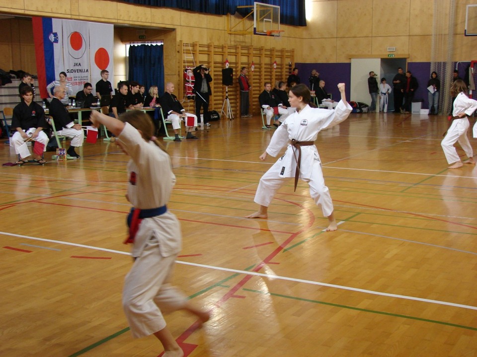 Drugi pokalni turnir JKA Slovenije Celje 2008 - foto povečava