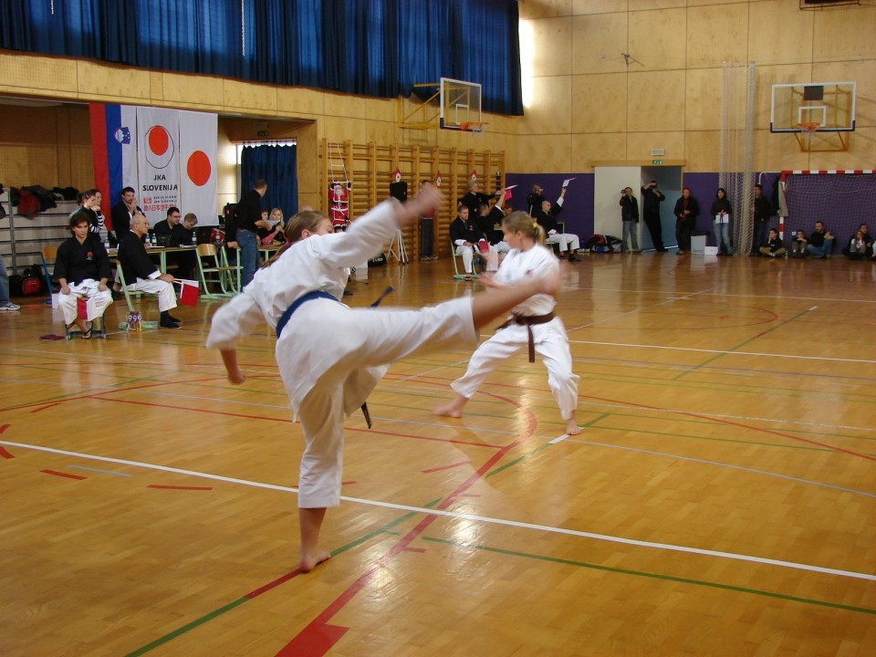 Drugi pokalni turnir JKA Slovenije Celje 2008 - foto povečava