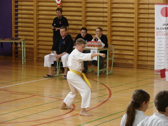 Drugi pokalni turnir JKA Slovenije Celje 2008 - foto