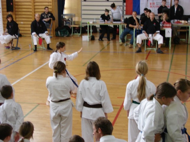 Drugi pokalni turnir JKA Slovenije Celje 2008 - foto