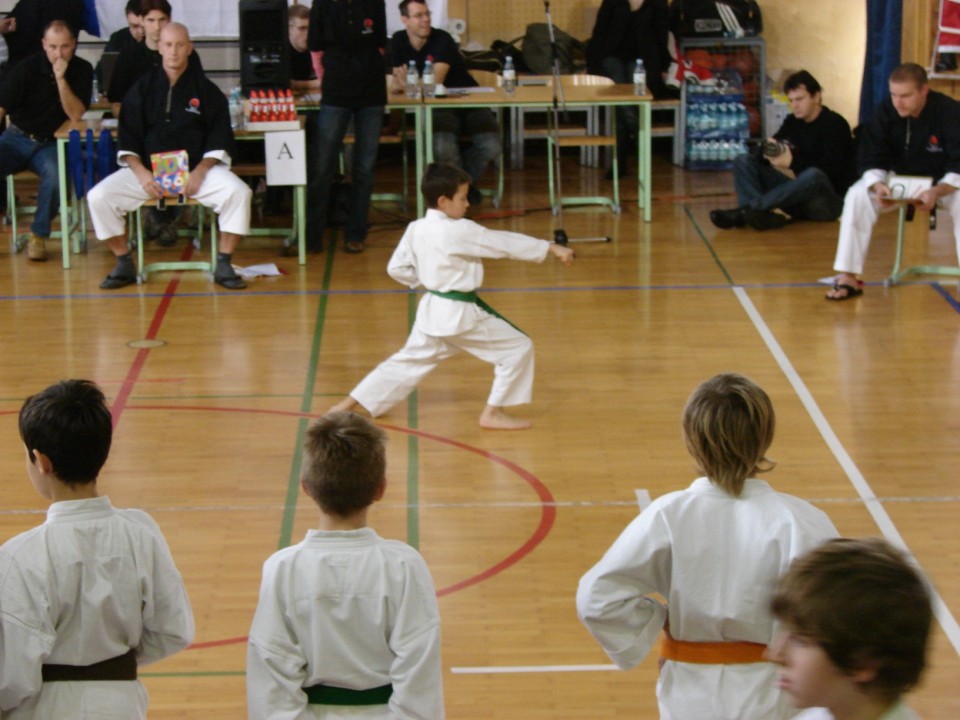 Drugi pokalni turnir JKA Slovenije Celje 2008 - foto povečava