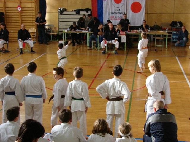 Drugi pokalni turnir JKA Slovenije Celje 2008 - foto