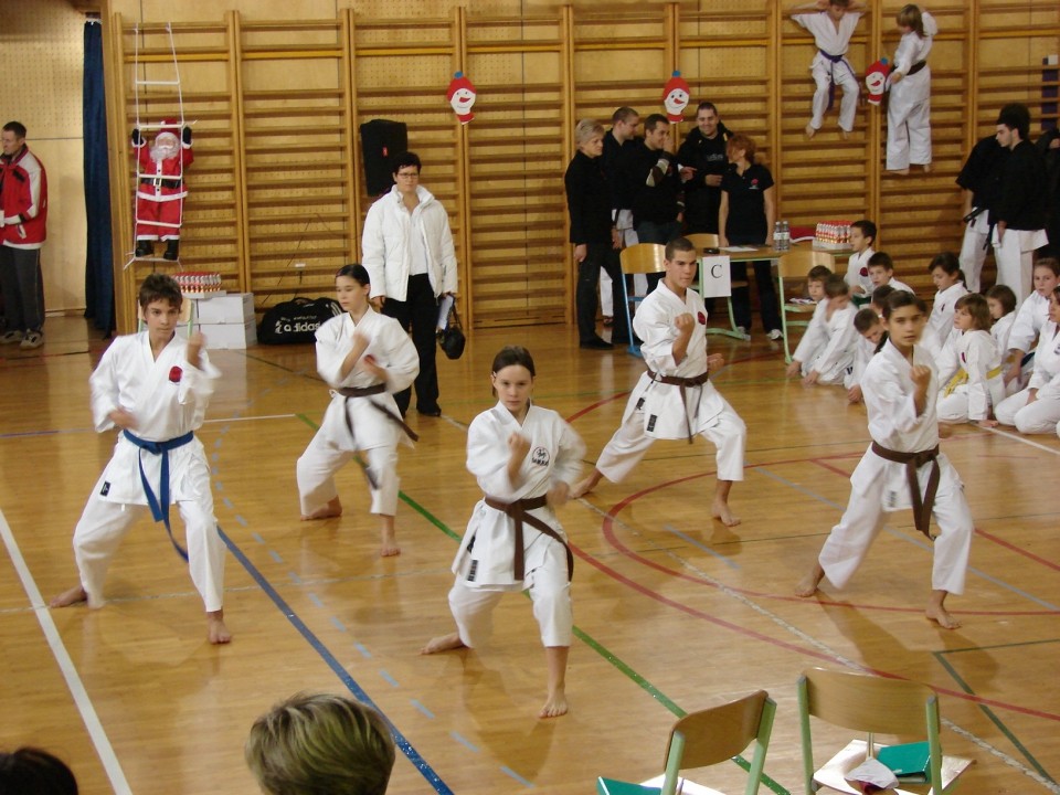 Drugi pokalni turnir JKA Slovenije Celje 2008 - foto povečava