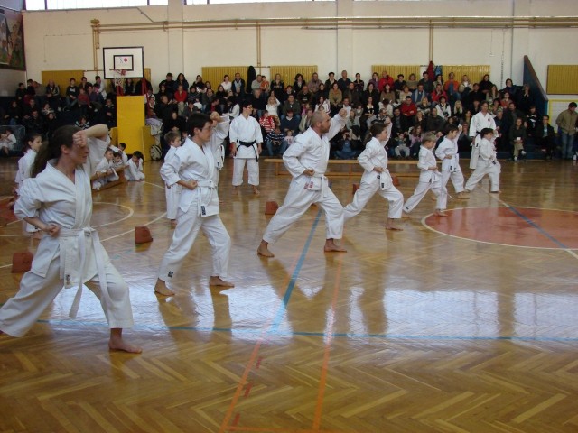 Izpiti za barvne stopnje Divača Dec 2008 - foto