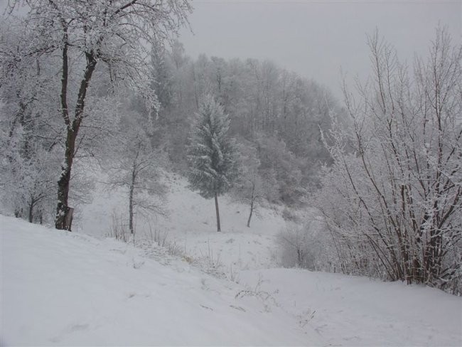 ZAKLJUČNI POHOD SLIVNICA-KALOBJE-SLIVNICA in  - foto povečava