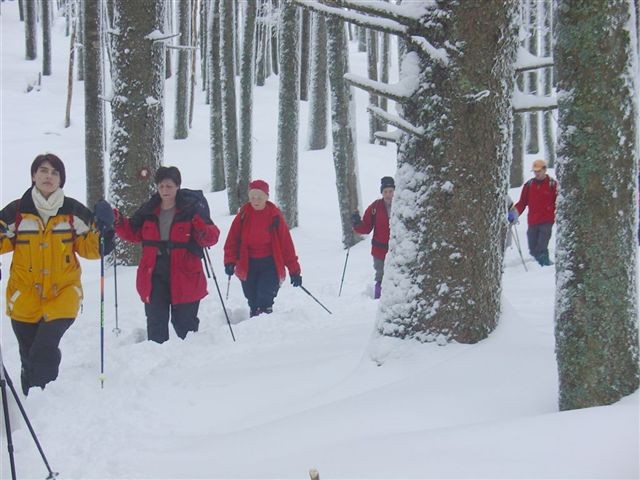 28. POHOD: Rogla - Osankarica, 7.1.2006 - foto