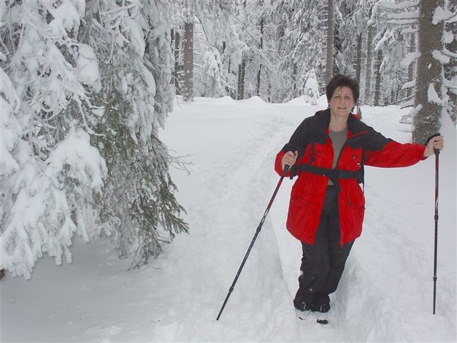 28. POHOD: Rogla - Osankarica, 7.1.2006 - foto povečava