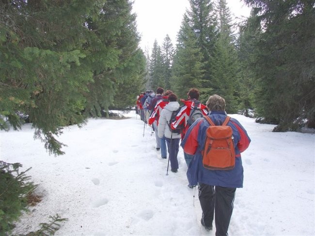 29. POHOD: Rogla - Osankarica, 13.1.2007 - foto povečava