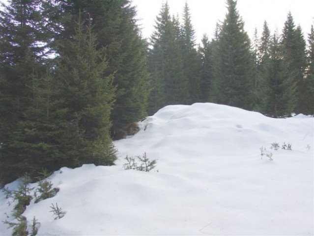 29. POHOD: Rogla - Osankarica, 13.1.2007 - foto