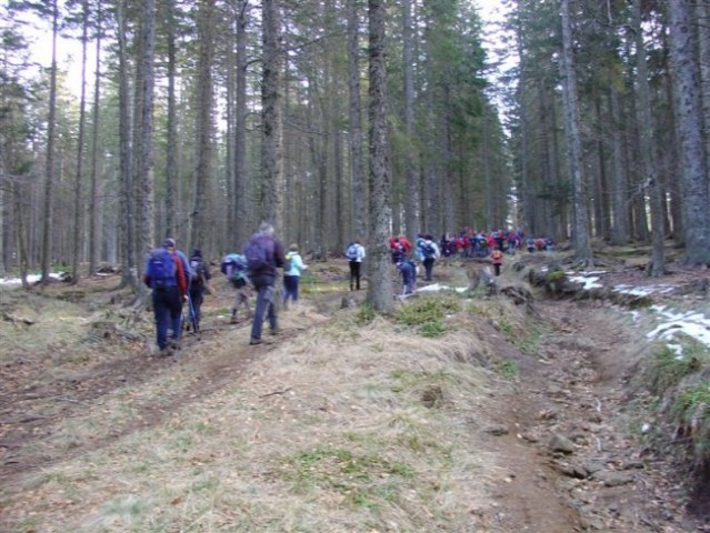 29. POHOD: Rogla - Osankarica, 13.1.2007 - foto