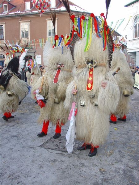 Fašenk na Ptuj-u, 2007 in 2008 - foto