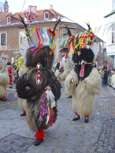 Fašenk na Ptuj-u, 2007 in 2008 - foto povečava