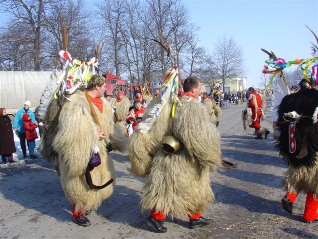 Fašenk na Ptuj-u, 2007 in 2008 - foto povečava