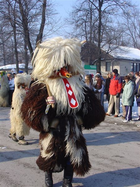 Fašenk na Ptuj-u, 2007 in 2008 - foto povečava