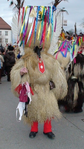 Fašenk na Ptuj-u, 2007 in 2008 - foto povečava