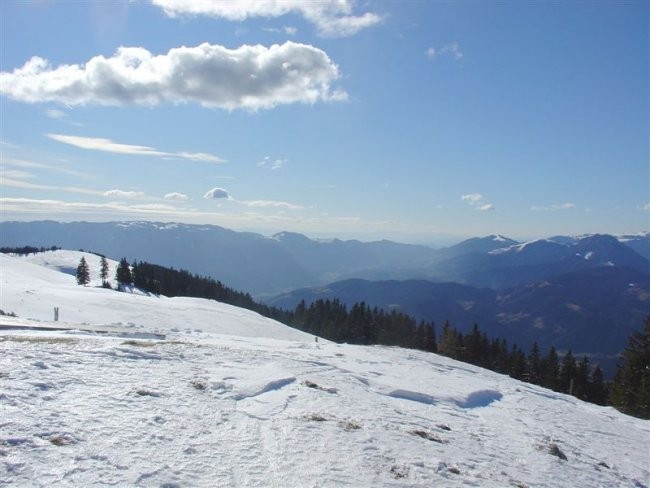 ŽEKOVEC - MOZIRSKA KOČA - GOLTE, 8.2.2008 - foto povečava