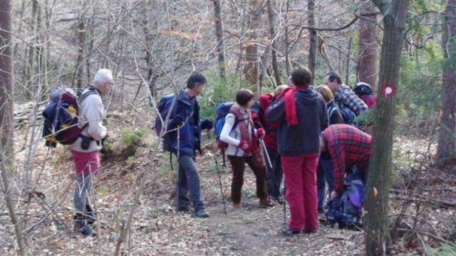 ŽEKOVEC - MOZIRSKA KOČA - GOLTE, 8.2.2008 - foto