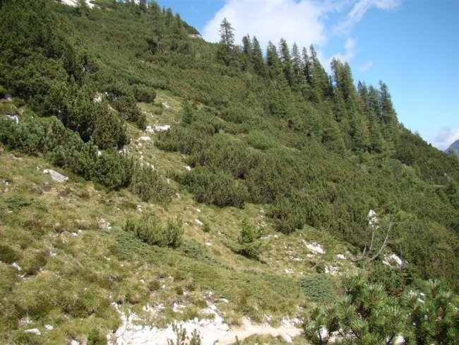 ŽELEZARSKI POHOD na Malo Mojstrovko, 2332 m,  - foto povečava