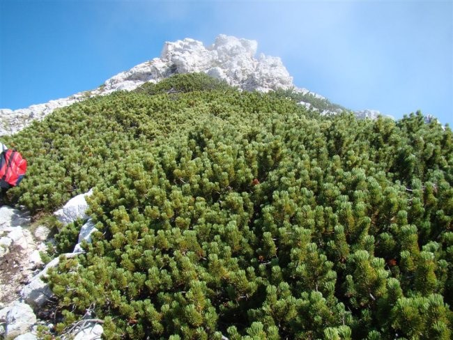 ŽELEZARSKI POHOD na Malo Mojstrovko, 2332 m,  - foto povečava