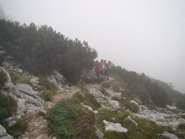 ŽELEZARSKI POHOD na Malo Mojstrovko, 2332 m,  - foto