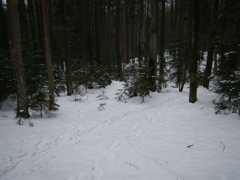 Okolica Idrije, 6.3.2011 - foto povečava