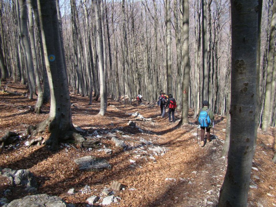 MALI GOLAK (1495m) -  ČAVEN (1242m),  - foto povečava