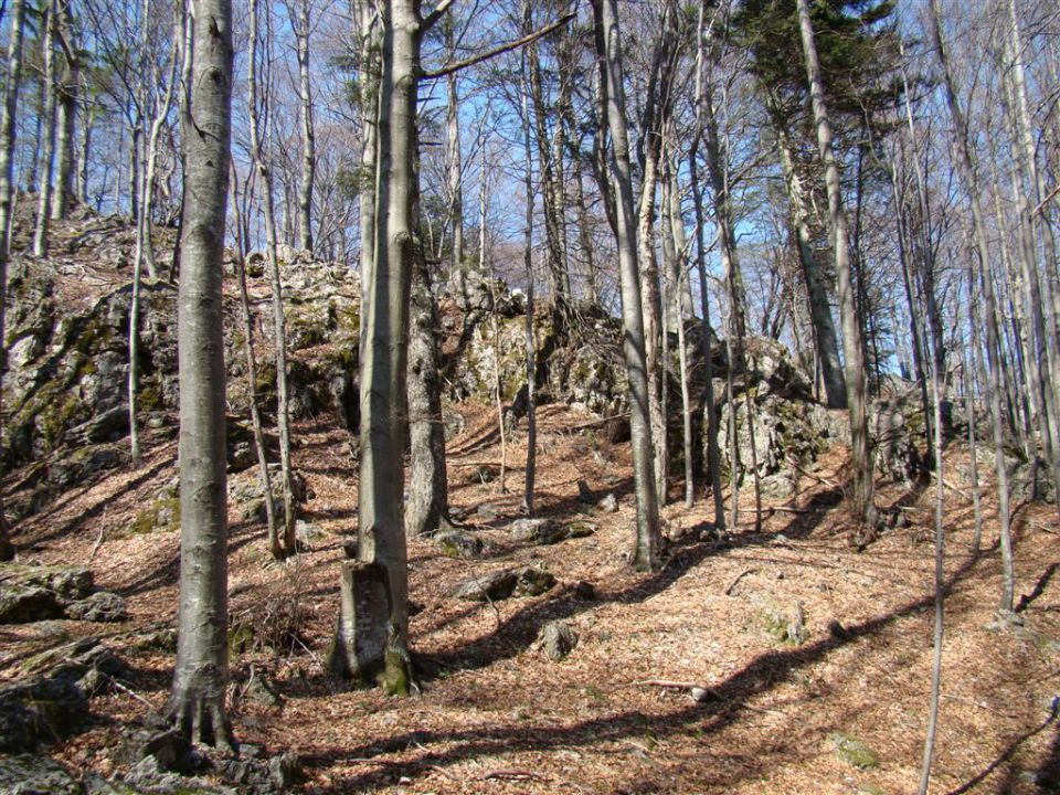 MALI GOLAK (1495m) -  ČAVEN (1242m),  - foto povečava