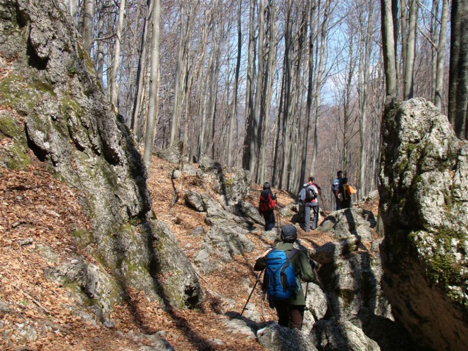 MALI GOLAK (1495m) -  ČAVEN (1242m),  - foto povečava