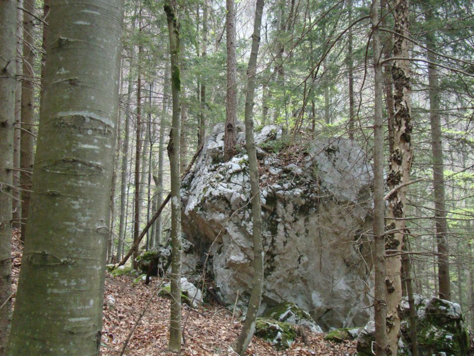 Konj, 1803 m, 25.4.2011 - foto povečava