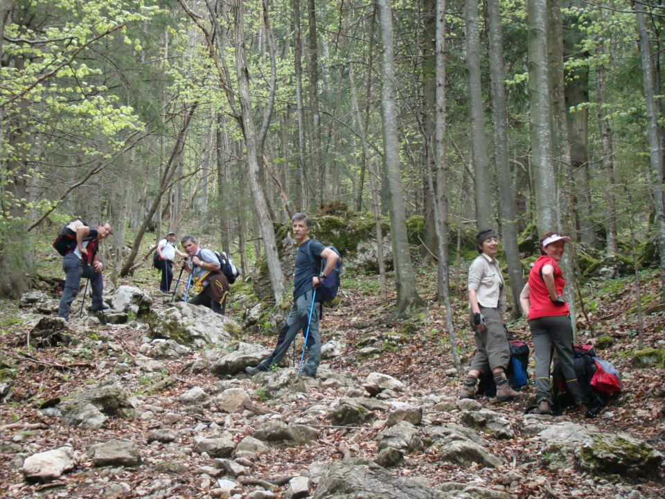 Konj, 1803 m, 25.4.2011 - foto povečava