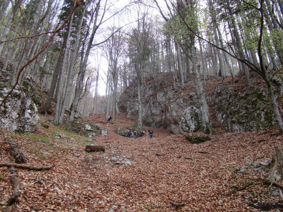 Konj, 1803 m, 25.4.2011 - foto povečava