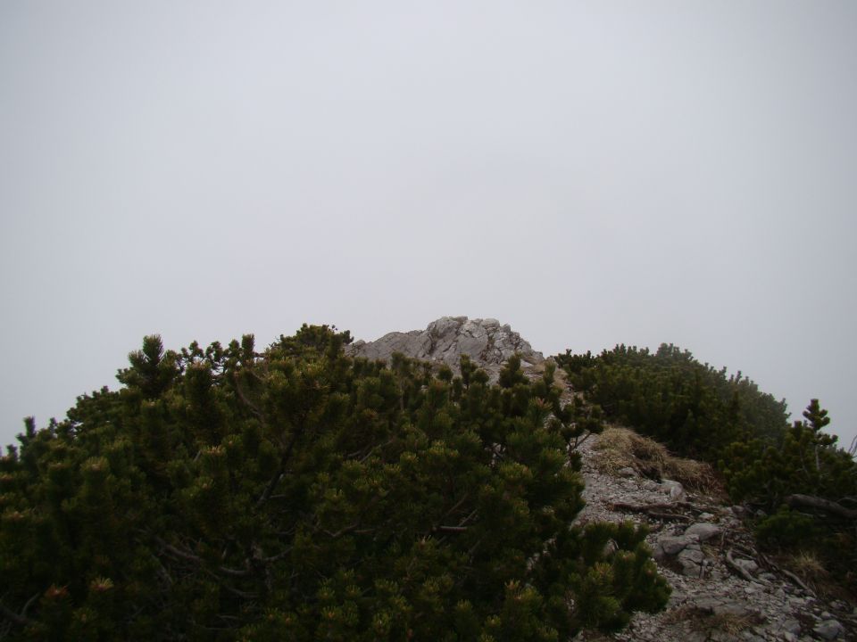 Konj, 1803 m, 25.4.2011 - foto povečava