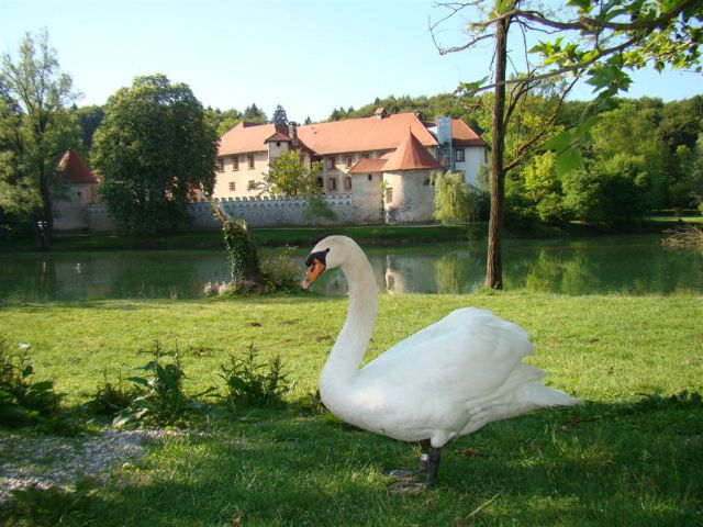 TRDINOV VRH in MIRNA GORA, 8. May 2011 - foto