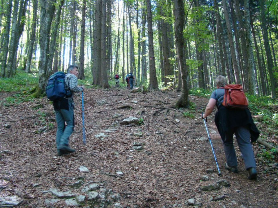 TRDINOV VRH in MIRNA GORA, 8. May 2011 - foto povečava