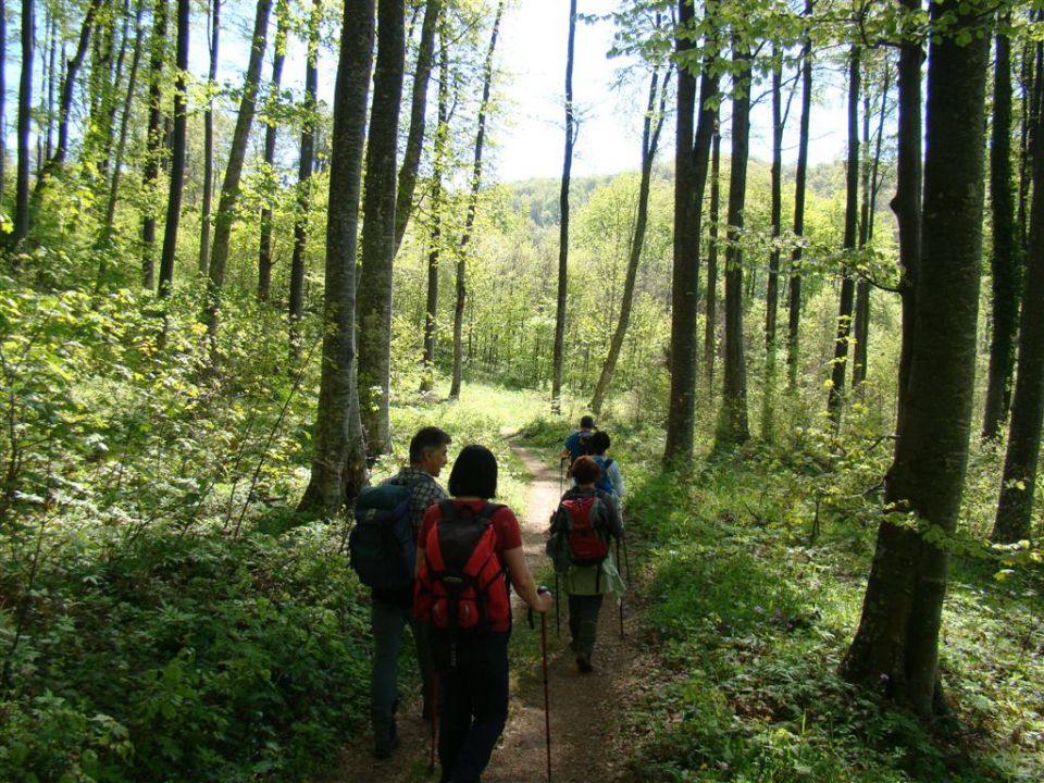 TRDINOV VRH in MIRNA GORA, 8. May 2011 - foto povečava