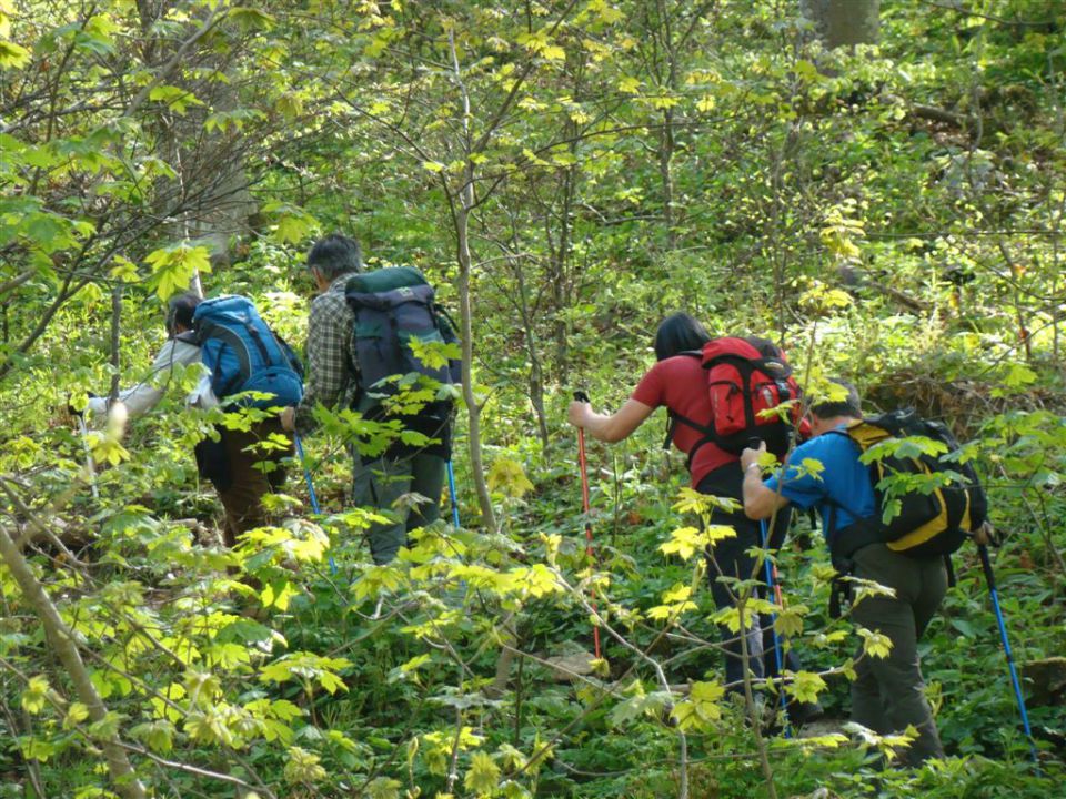 TRDINOV VRH in MIRNA GORA, 8. May 2011 - foto povečava