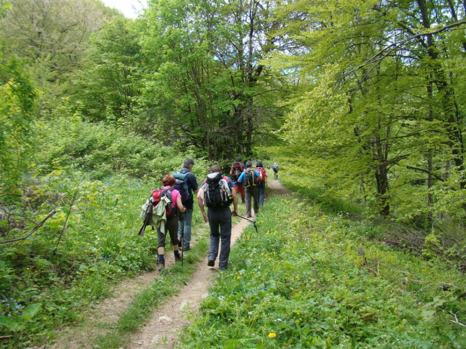 TRDINOV VRH in MIRNA GORA, 8. May 2011 - foto povečava