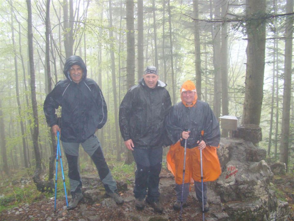 TRDINOV VRH in MIRNA GORA, 8. May 2011 - foto povečava