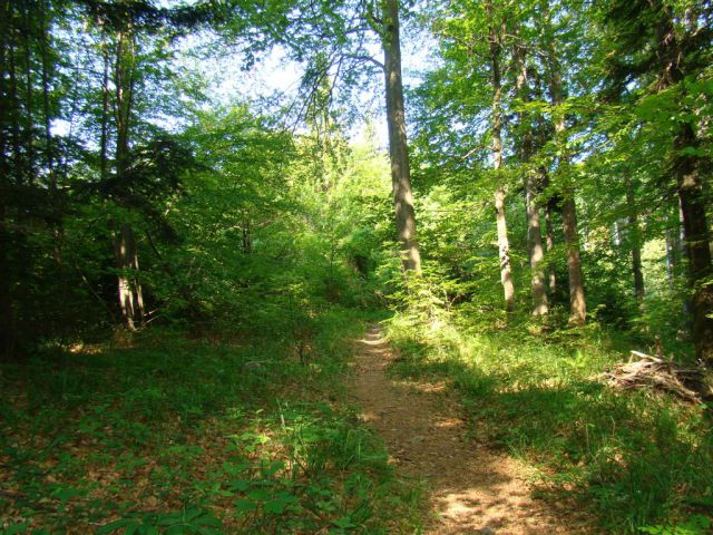 KONJIŠKA GORA, Stolpnik, 1012m) 22.5.2011 - foto